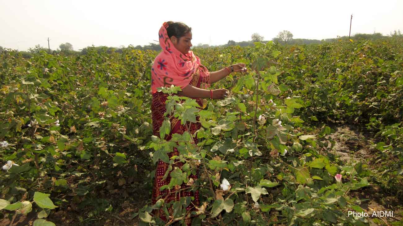 Cotton Farmer