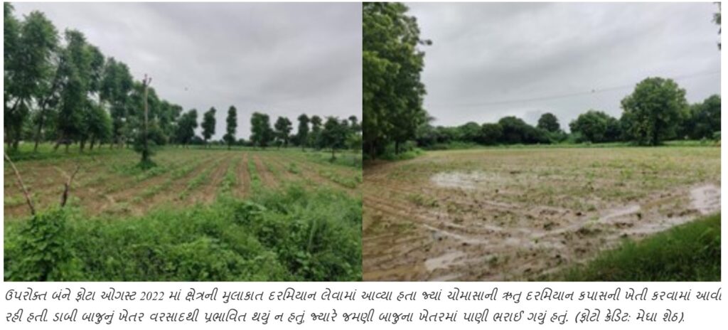 A waterlogged farm with stunted crops symbolizing green drought.