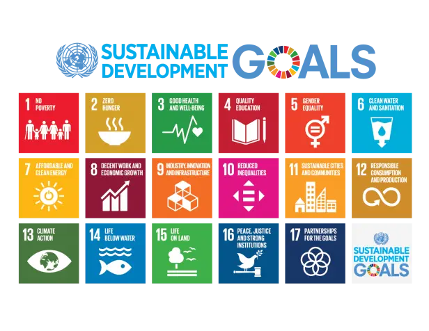 Driving Local Action to Achieve Global Goals